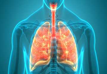 6 Tips for Improving Lung Health for Those with COPD